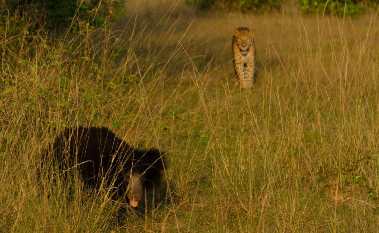 Отель Big Game - Wilpattu By Eco Team Экстерьер фото